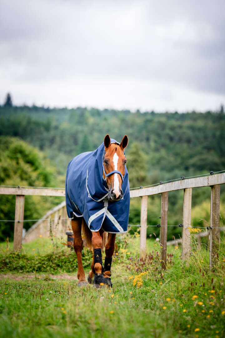 AMIGO Weidedecke Bravo 12 Plus Turnout 0g